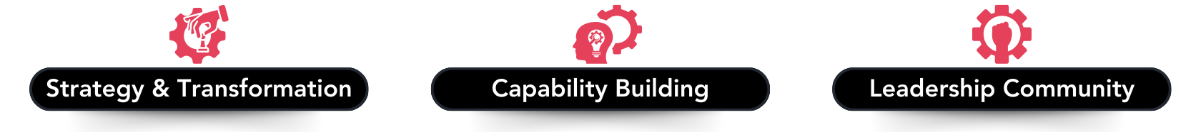 Shake Up The Workplace - Strategy & Transformation, Capability Building and Leadership Community